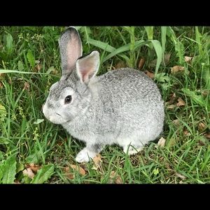 Meet your Posher, Jackie